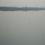 Vraj-Yatra-2014- (1693)